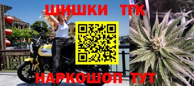 винт Славгород