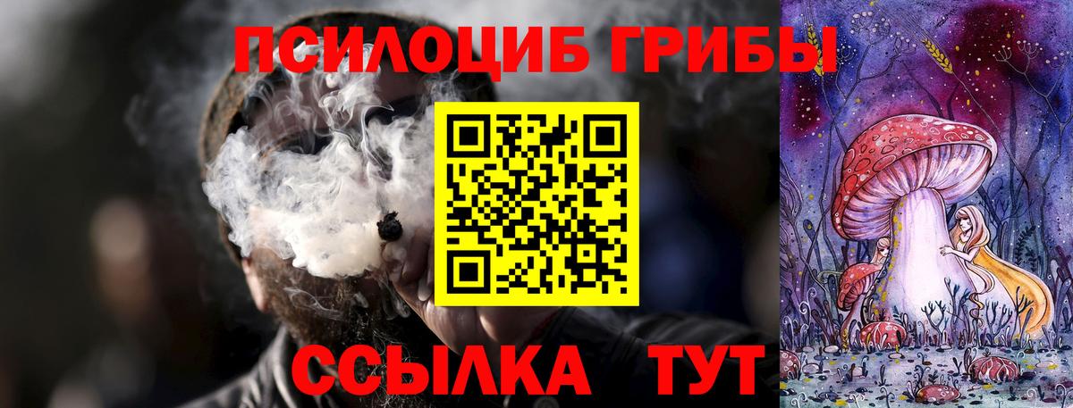 Сальск  Галлюциногенные грибы Cubensis  Вход с VPN  Галлюциногенные грибы Psilocybe 